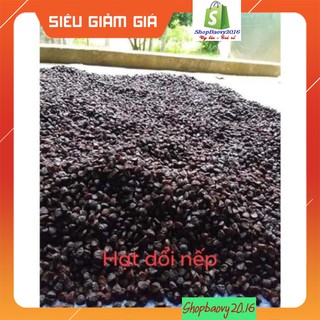 Hạt dổi nếp THƠM ĐẶC TRƯNG tây bắc, dùng thử (5 hạt)