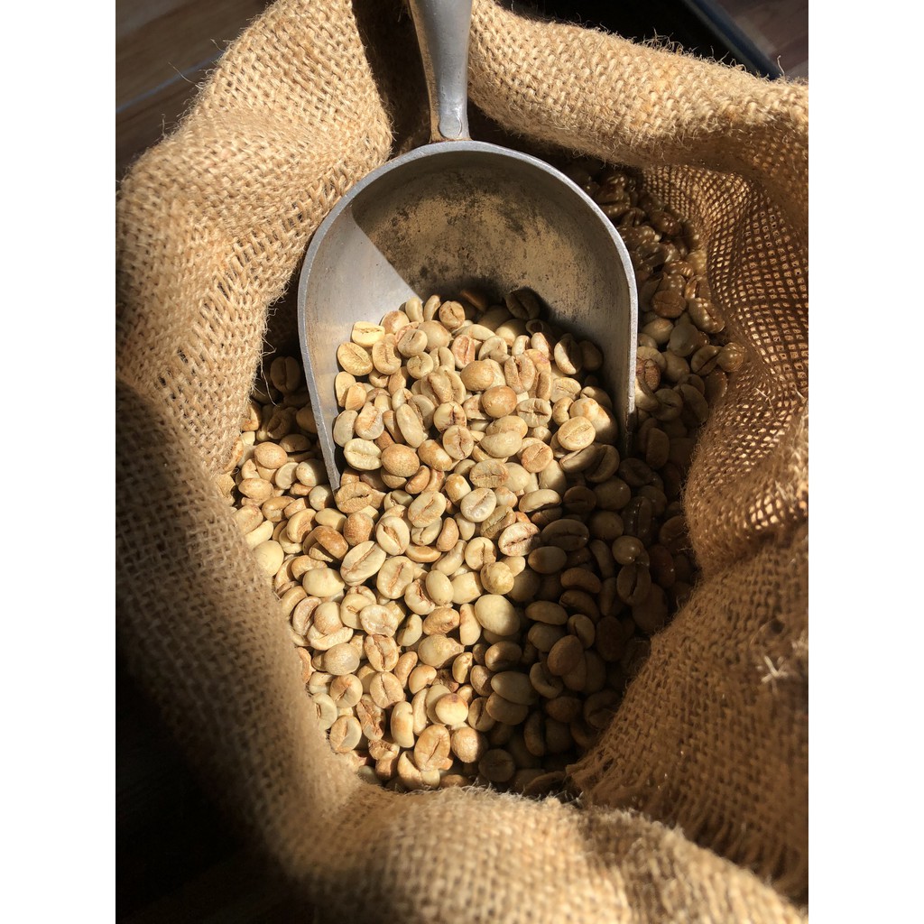 Cà phê hạt rang mộc nguyên chất dòng truyền thống vị đậm đà mạnh mẽ thơm nồng cafe pha máy Anna Coffee | BigBuy360 - bigbuy360.vn