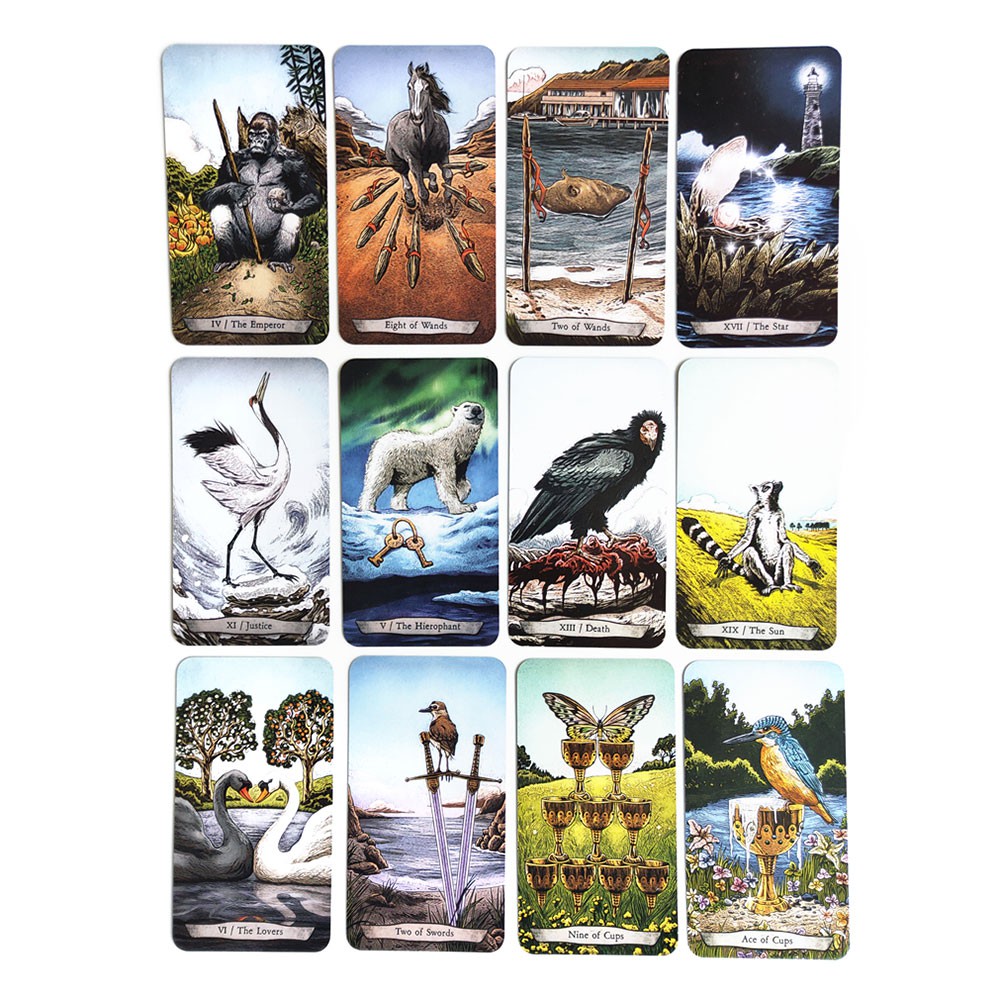 Bộ 78 thẻ bài tarot hình động vật (Mới)