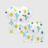 Bộ cotton giấy cộc tay