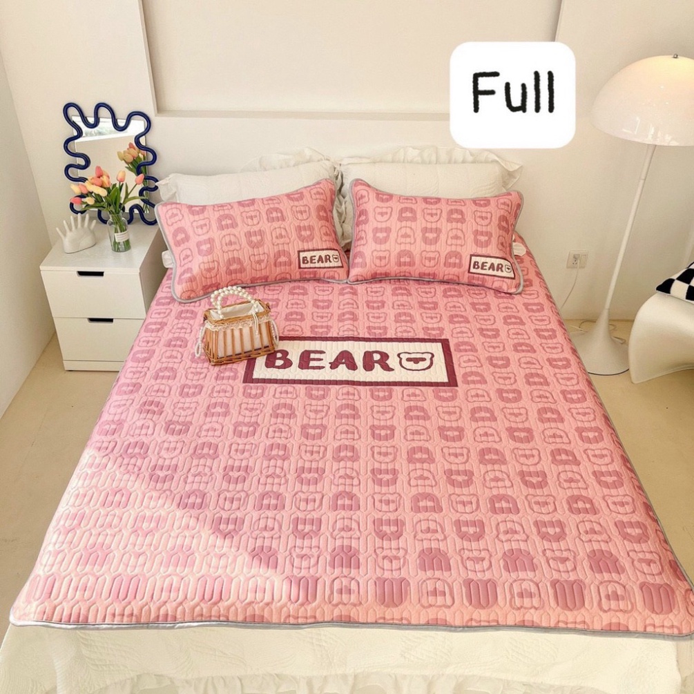 Chiếu Điều Hòa vải Tencel 6D VIP dùng quanh năm tặng kèm 2 vỏ gối