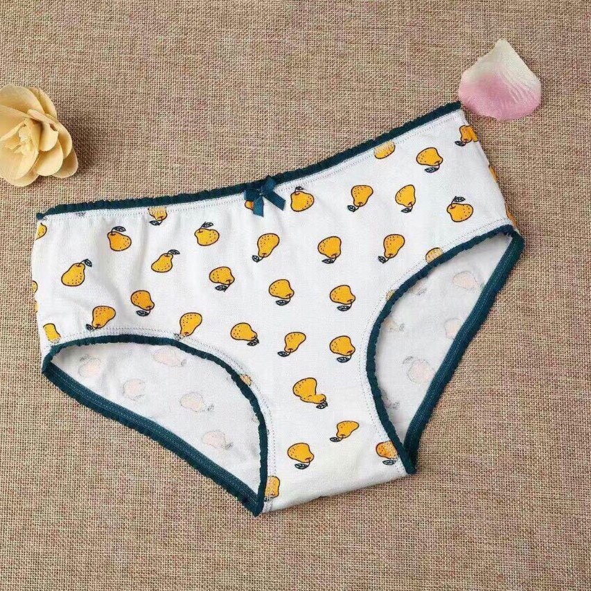Đồ lót cao cấp / Quần lót nữ cotton cao cấp họa tiết dễ thương phong cách Hàn Quốc