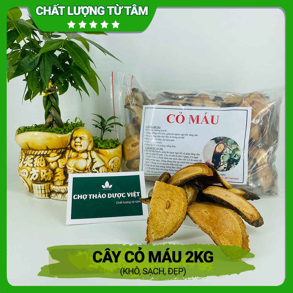 [Giá Sỉ] 2kg Cây Cỏ Máu (Khô, Sạch, Đẹp)