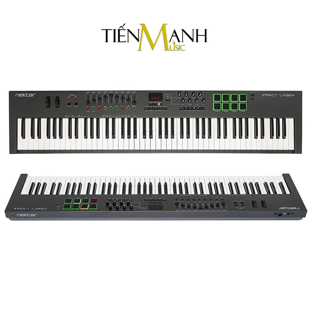 Nektar Impact LX88+ Midi Keyboard Controller 88 Phím Cảm ứng lực (Bàn phím sáng tác - Sản xuất âm nhạc Producer)