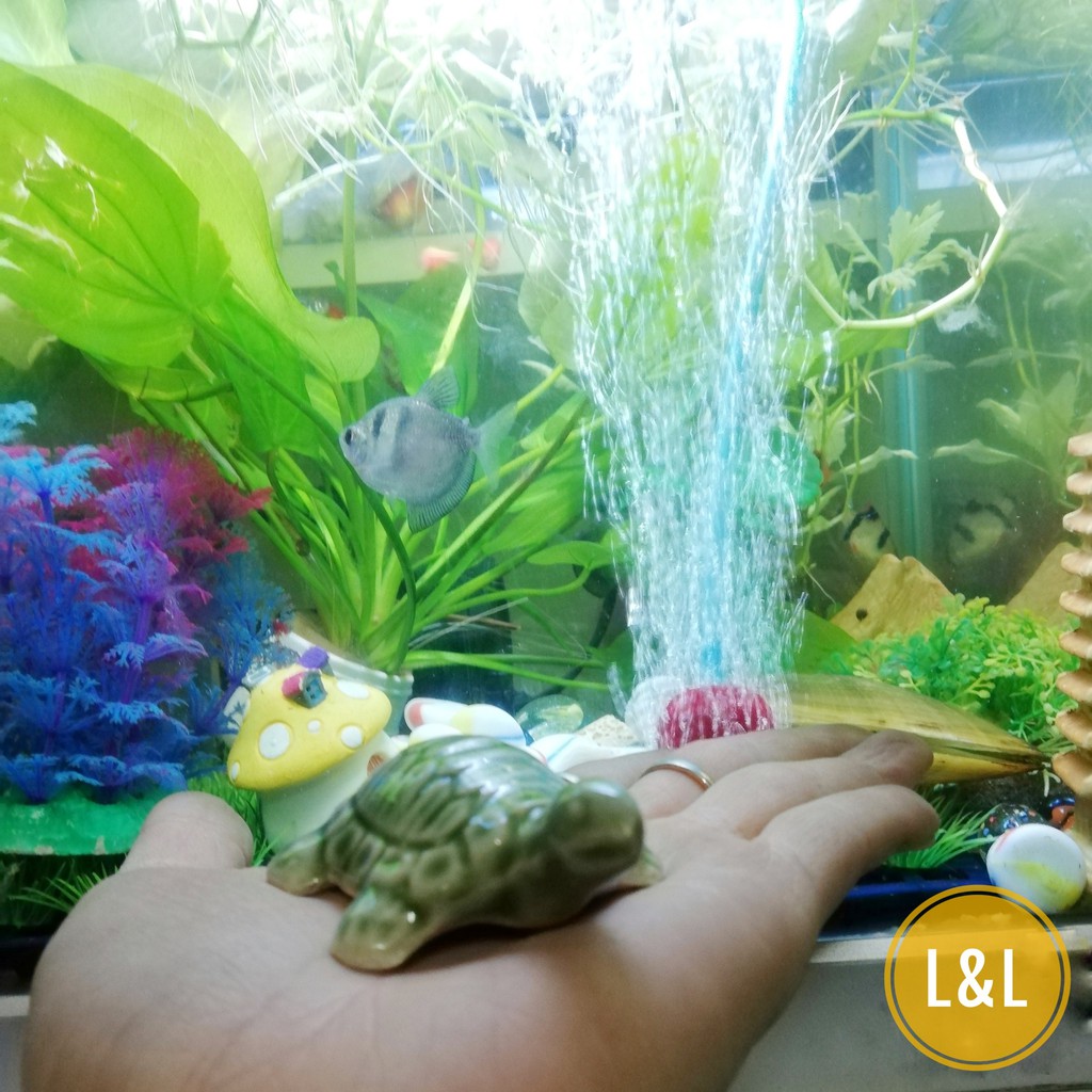 [GIÁ SỐC - GIẢM 30%]Mô hình rùa con trang trí bể cá, làm mô hình, tiểu cảnh sân vườn