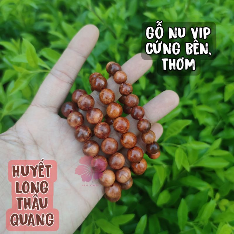 Vòng huyết long nu cao cấp, vòng tay may mắn phong thủy