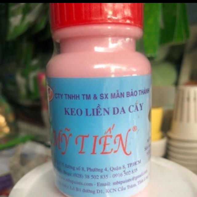 Keo liền da cây Mỹ tiến- lọ 100 gam