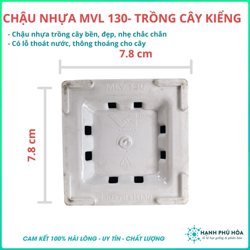 Chậu Nhựa MVL  Nhiều Kích cỡ Trồng Hoa Lan, Cây Kiểng- Chậu Nhựa Bền, Đẹp, Nhẹ, Đa Năg