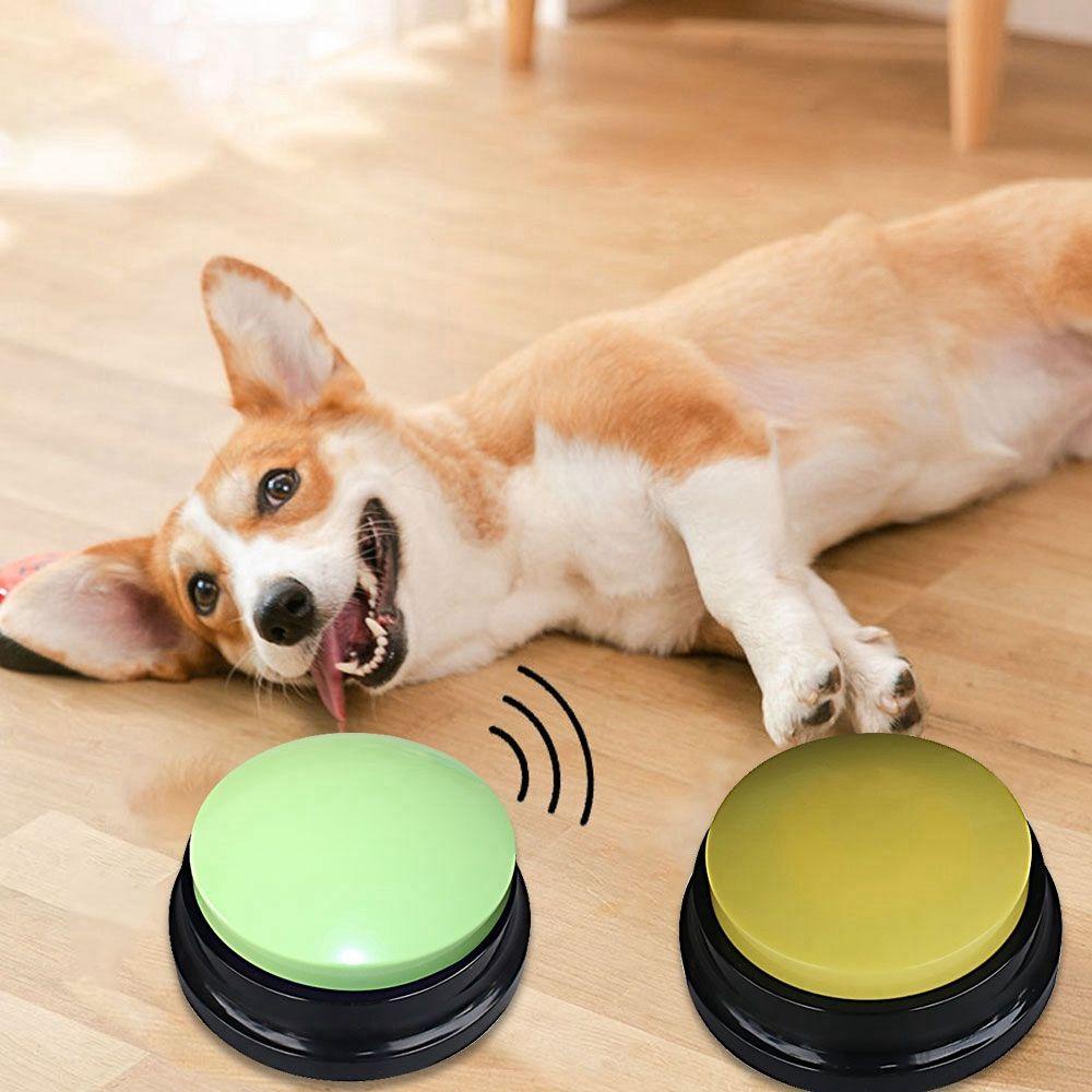 Đồ Chơi Ghi Âm Giọng Nói Cho Thú Cưng