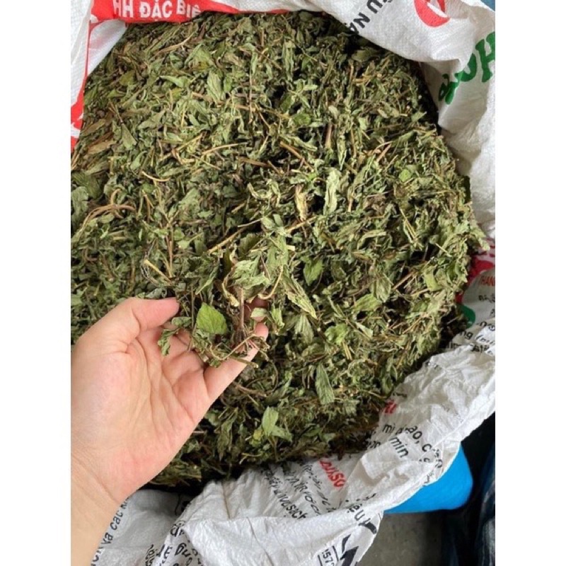 Cỏ ngọt tự nhiên 1 kg hàng khô lá xanh thơm mới