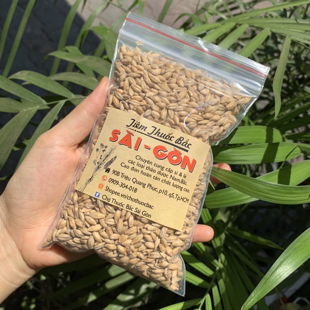 Đại Mạch 1kg