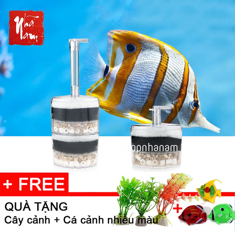 Lọc vi sinh bể cá dành cho thác nước tặng cây cảnh và cá nhiều màu