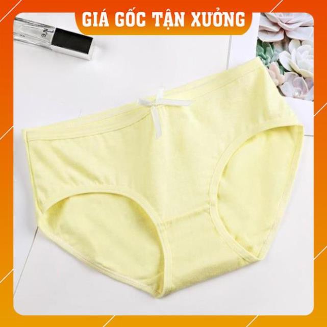 [Hàng Chất Lượng Cao]  Sét 04 quần Lót Cotton trơn Quảng Châu kháng khuẩn xuất Nhật Q1