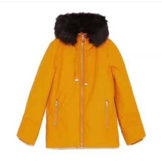 Parka zara