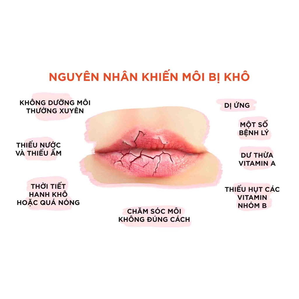 Son dưỡng môi DHC Lip Cream 1,5g BeautiMax