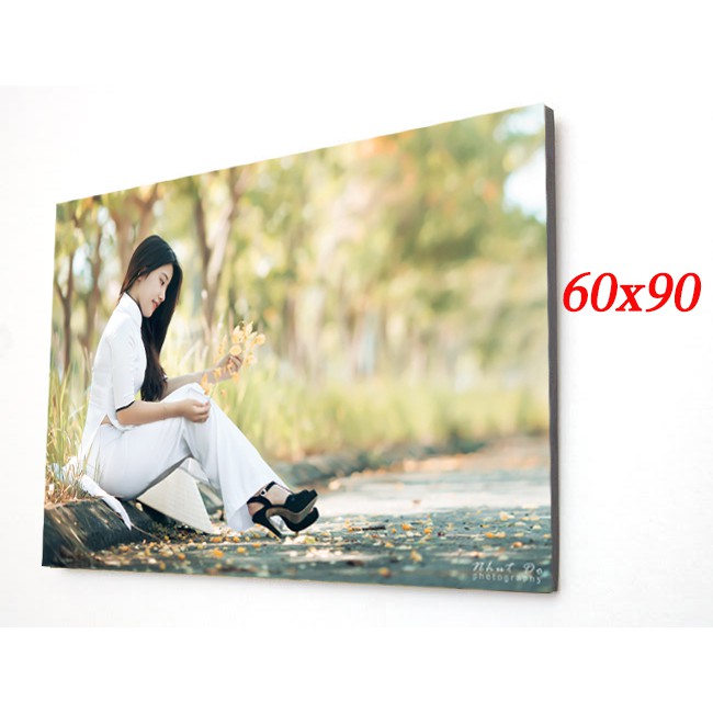 In ảnh gỗ mica 40x60 50x75 60x90 70x110 giá rẻ theo yêu cầu