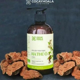 Dầu gội thảo dược Hà thủ ô Cân Bằng Sắc Tố Melanin Cocayhoala 300g