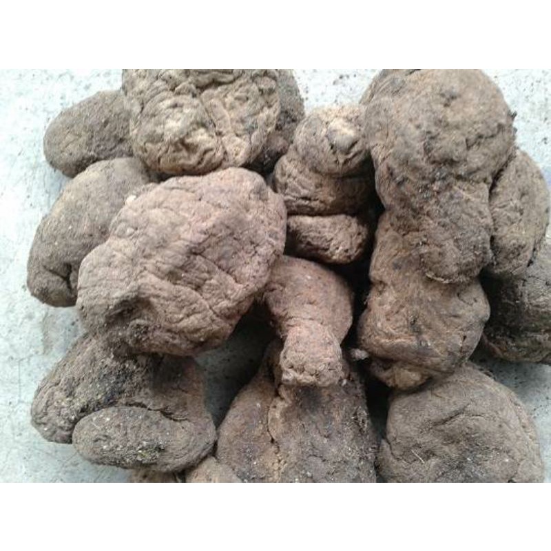 Sinh Địa thái lát 500g hàng chuẩn, chất lượng loại 1