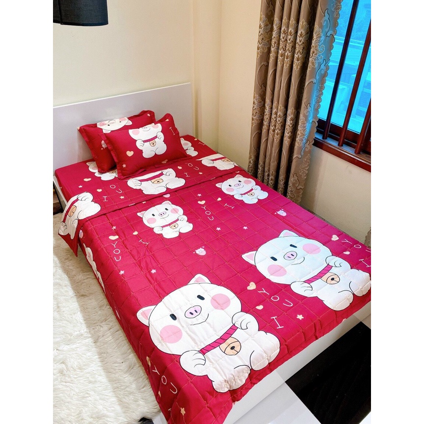 Bộ chăn ga gối Cotton poly, drap trải niệm đủ size, được chọn mẫu