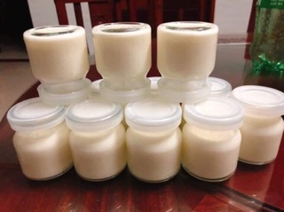 Hũ đựng sữa chua (combo 10 hũ)