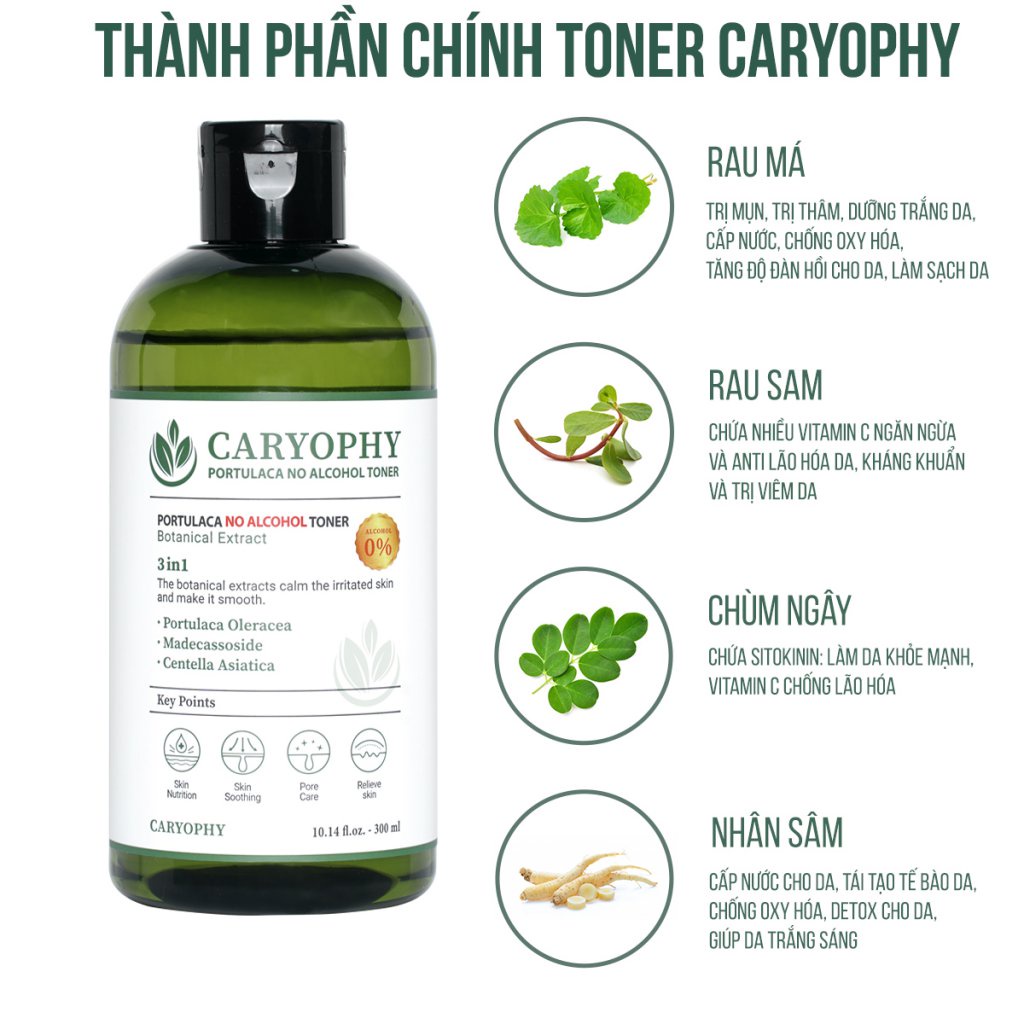 Toner Caryophy 3in1 dành cho da mụn da dầu Caryophy portulaca 50ml/300ml NPP Shoptido