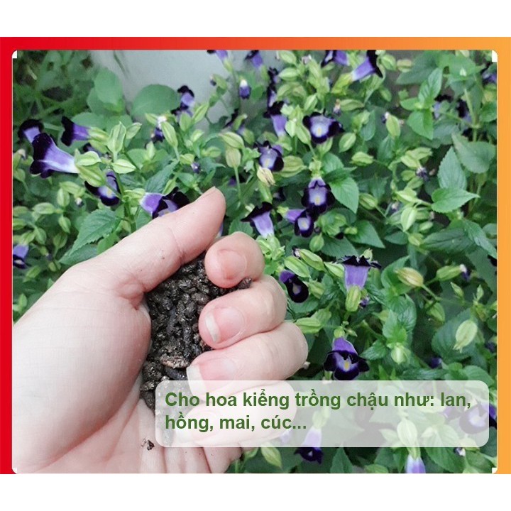 {Rẻ Nhất Shopee} 1KG PHÂN DƠI HỮU CƠ NGUYÊN CHẤT 100%