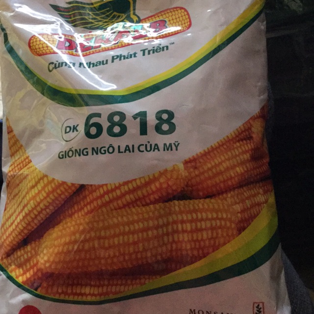 Ngô lai mỹ 6818