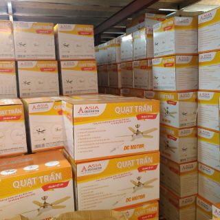 Quạt trần DC Asia QT03-G-01