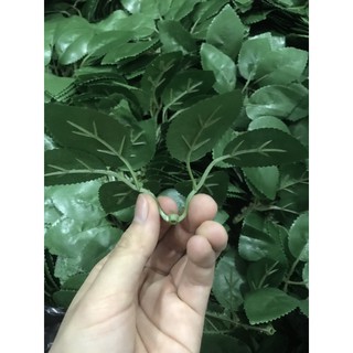 Lá hoa hồng, Bịch 100gr