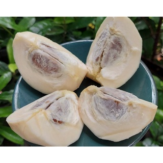 combo 10 cây hồng nhung Sóc Trăng ( loại 2 lá)