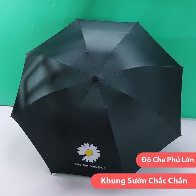 Ô Hoa Cúc Gấp Gọn, Che Mưa Che Nắng Hàn Quốc,Chống Tia UV, Chất Liệu Vải Dù Mật Độ Cao