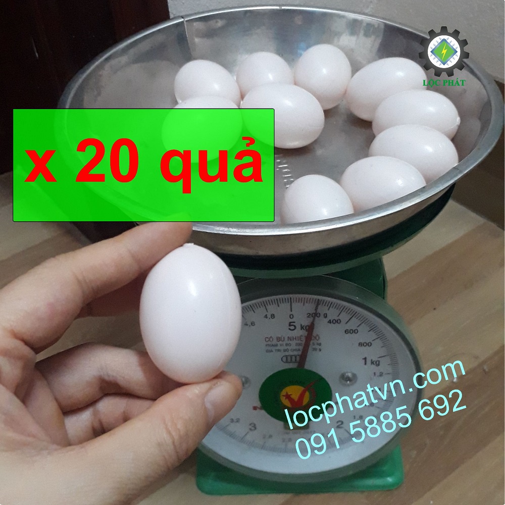 20 Trứng gà giả, trứng mồi cho gà tre đẻ 20TRG-H