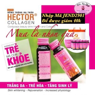 COMBO 2 HỘP ĐÔNG TRÙNG HẠ THẢO HECTOR COLLAGEN + HECTOR SÂM