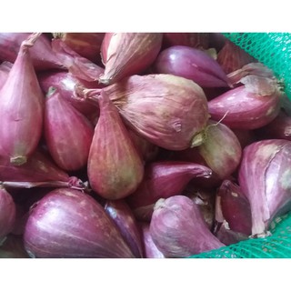 HÀNH TÍM CHÍNH GỐC LÝ SƠN