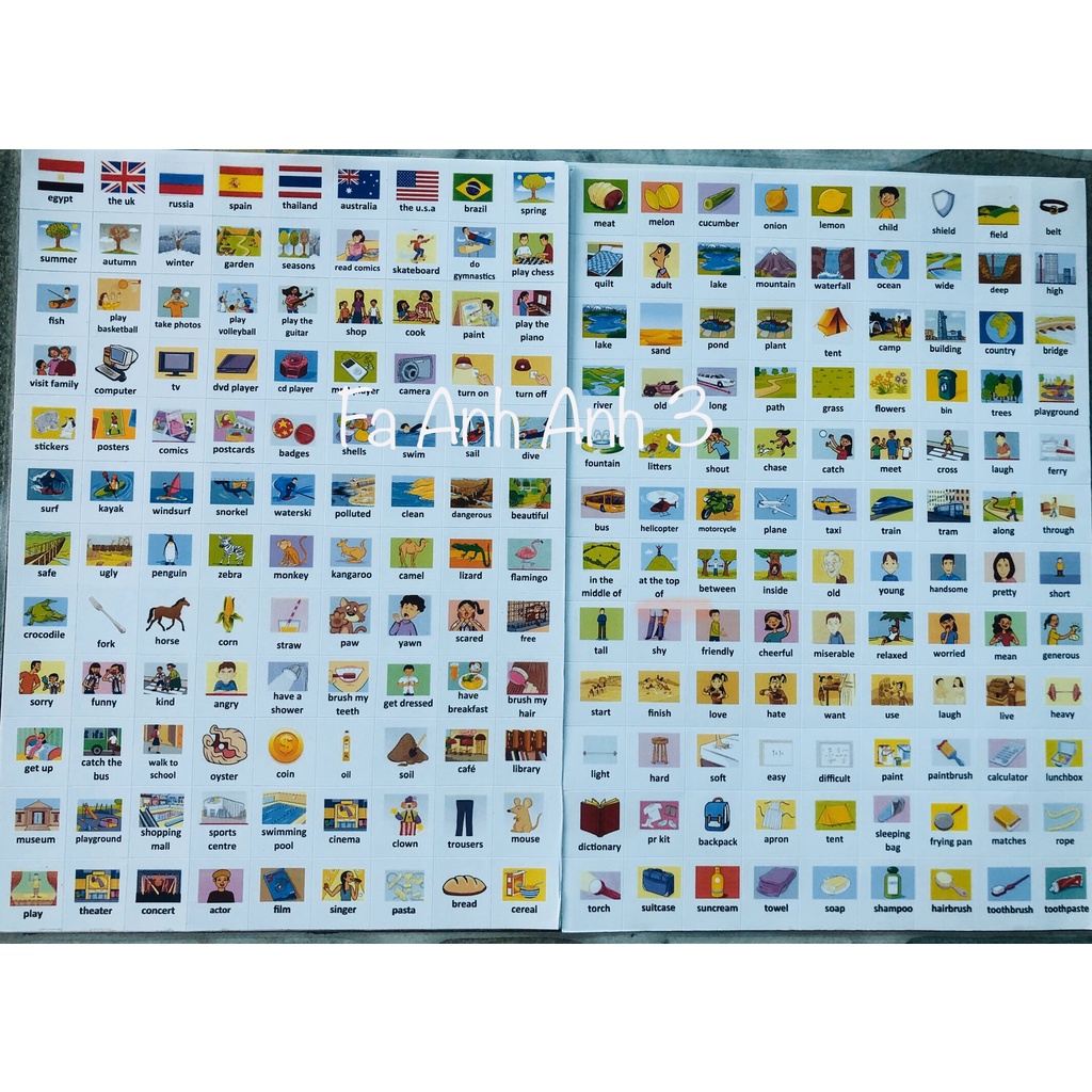 Sticker từ vựng tiếng anh Family Anh Anh (Fa quốc tế 3)
