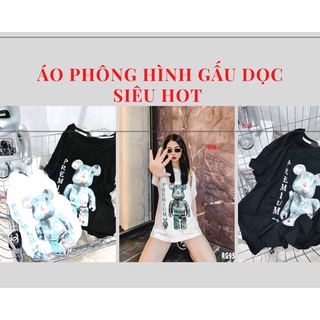 Áo thun in hình gấu, áo phông in hình gấu dọc nam nu TAMTITSHOP. Phong thể thao