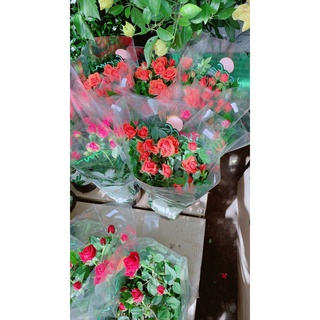 Hoa Hồng Tezza (được chọn màu)