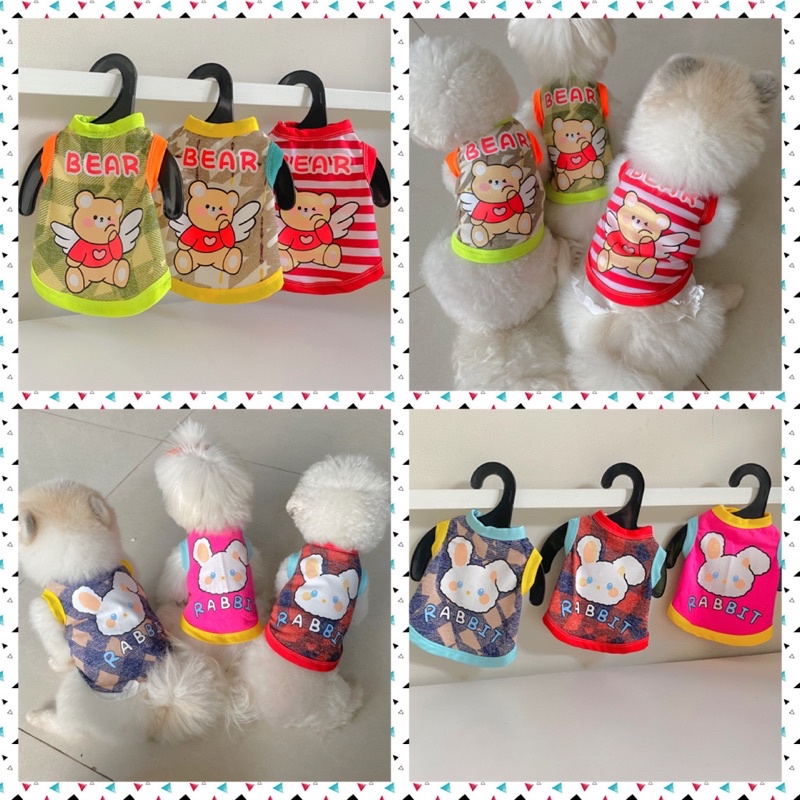 Áo thun mùa hè thú cưng