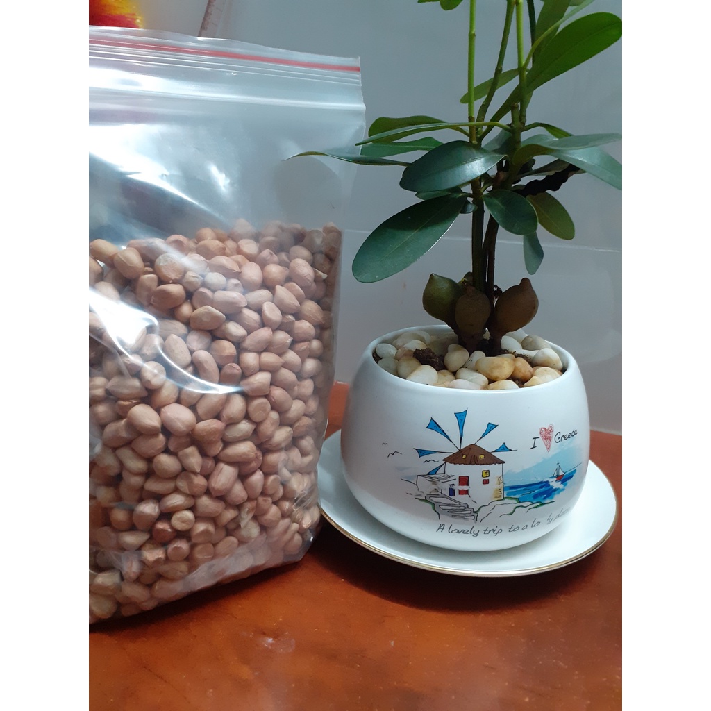 Đậu phộng quê hương