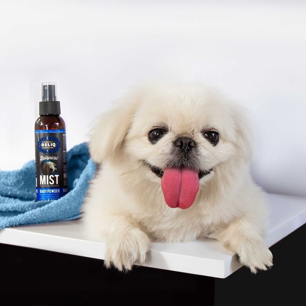 Nước hoa cho cún Reliq Mist 120ml