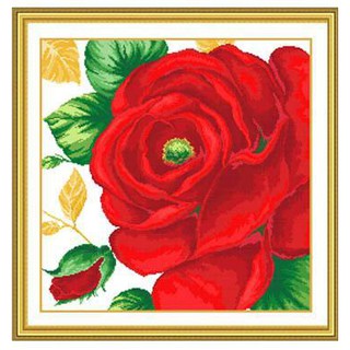 Tranh Thêu Chữ Thập Bông Hoa Hồng RY1630 (KHÁCH TỰ THÊU) KT:60X60CM