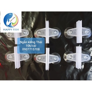 Kẹp Kính ngăn hồ cá Thái Lan