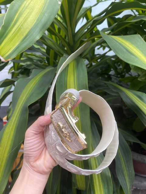 DÂY THẮT LƯNG DA CÁ SẤU THẬT TRẮNG | RYRY STORE