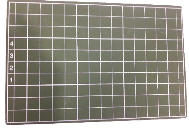 Giảm Giá 1 Cái Bảng Chống Lóa Dành Cho Bé - Beecost