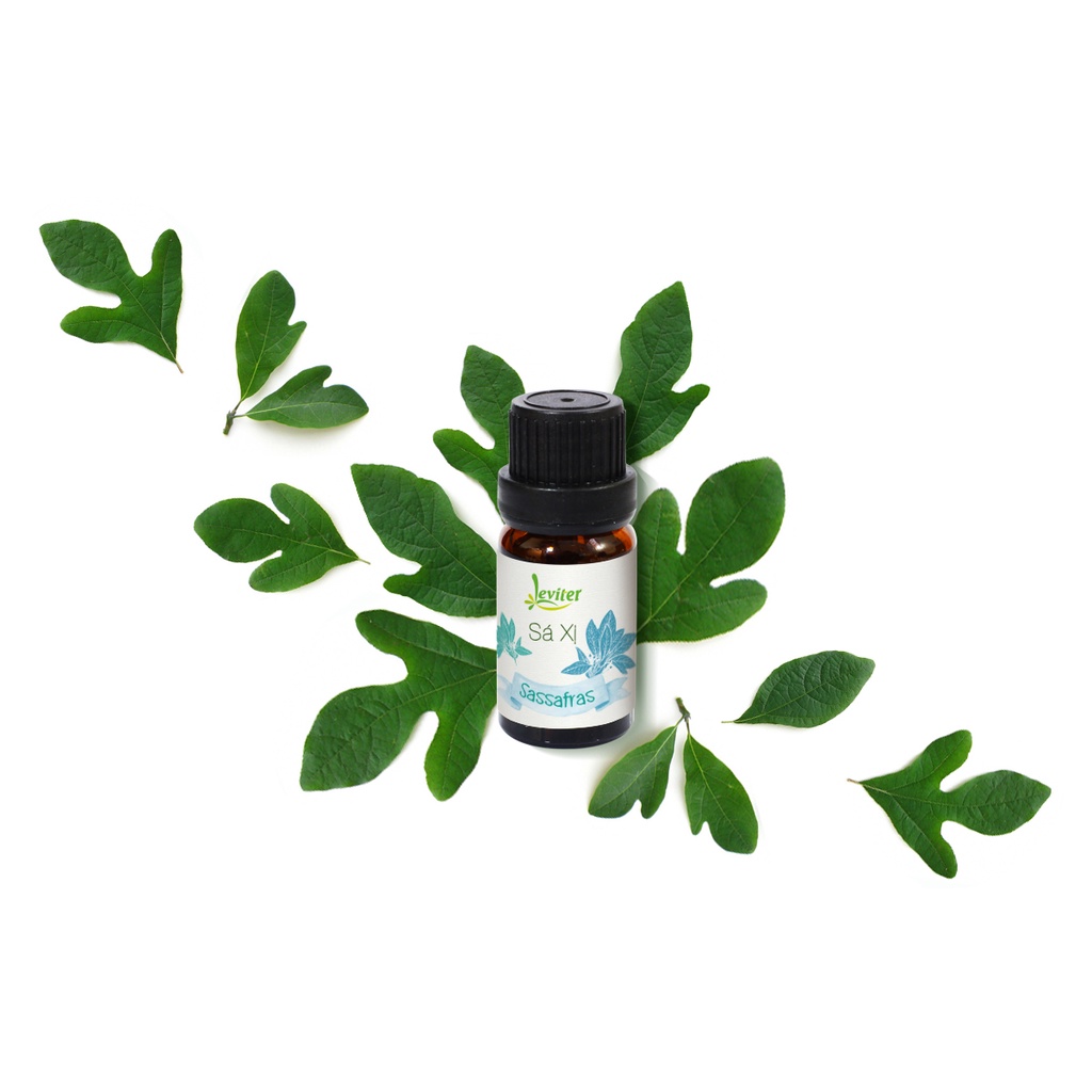 Tinh dầu Sá xị Gù Hương Việt Nam Leviter-100ml