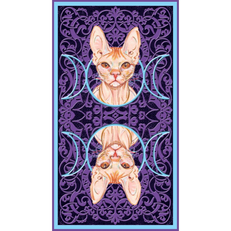 Bộ Bài Tarot of Pagan Cats (Mystic House Tarot Shop)