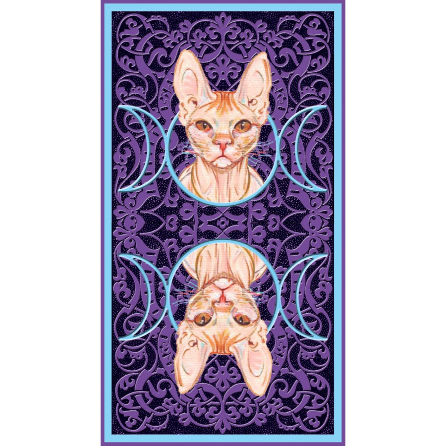 Bộ Bài Tarot of Pagan Cats (Mystic House Tarot Shop)