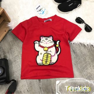 Combo 12 áo gồm nhí và đại cồ cho bé