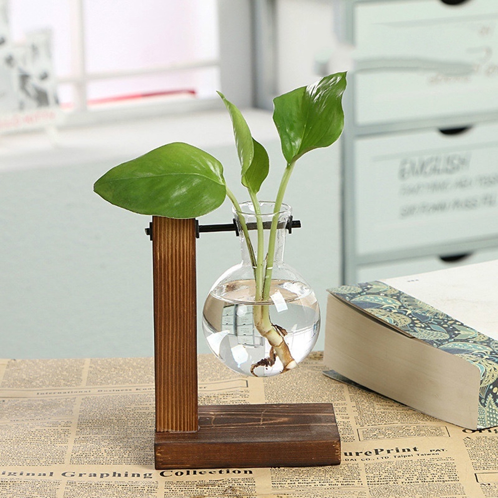 Chậu Cây Thủy Canh Để Bàn Phong Cách Vintage Dùng Trang Trí Nhà Cửa