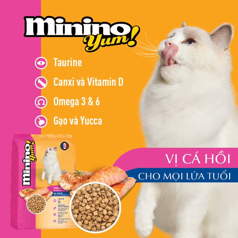 Hạt Minino Cá Hồi 350G Thức ăn hạt khô cho mèo